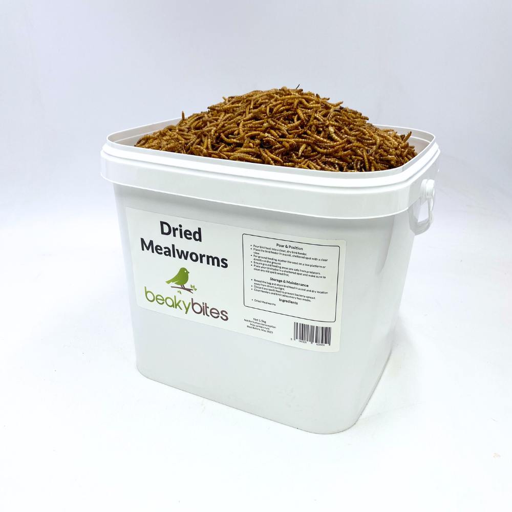 Dried Mealworms 12L